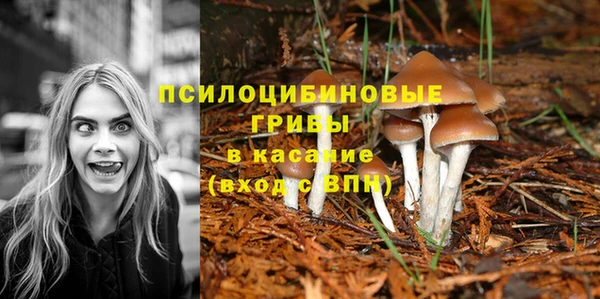мескалин Михайловка
